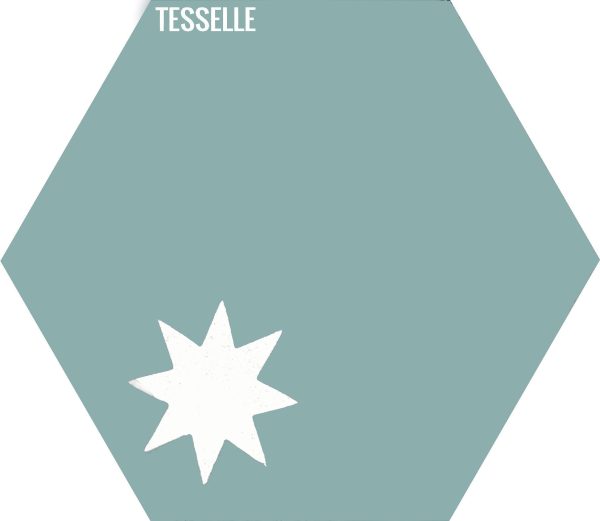 Cosmos Cactus 9x8  Hexagonal Cement Tile Online Hot Sale