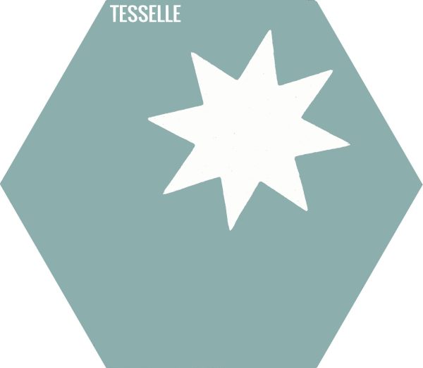 Cosmos Cactus 9x8  Hexagonal Cement Tile Online Hot Sale - Image 4
